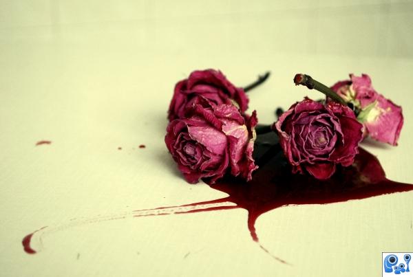 blood roses by tori amos photoshop picture